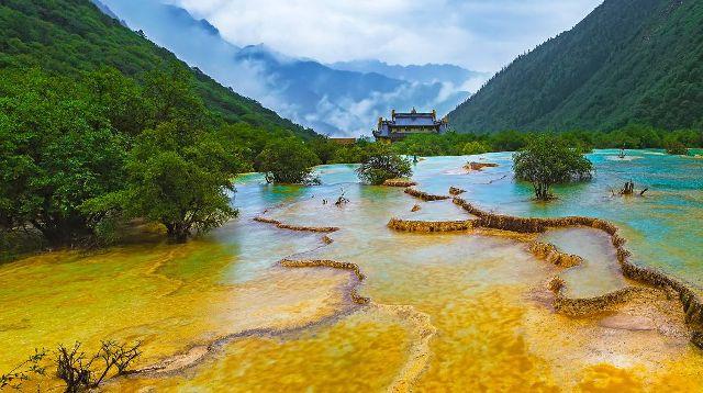 逃离变色龙森林